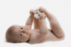 1.gif - 