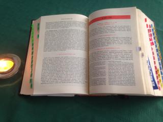 Lectio divina v praxi
