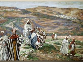 15. týždeň cez rok (B)