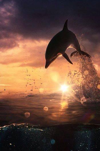 Nech vaše svetlo svieti